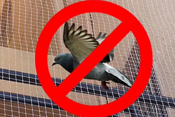 Pigeon Safety Nets in Uppal